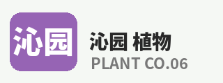 呦呦视频